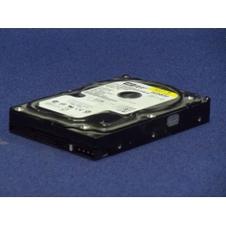 Western Digital WD800 3.5 in 7200RPM  80 GB IDE Hard Drive